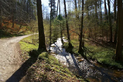 Dolina Zagórskiej Strugi